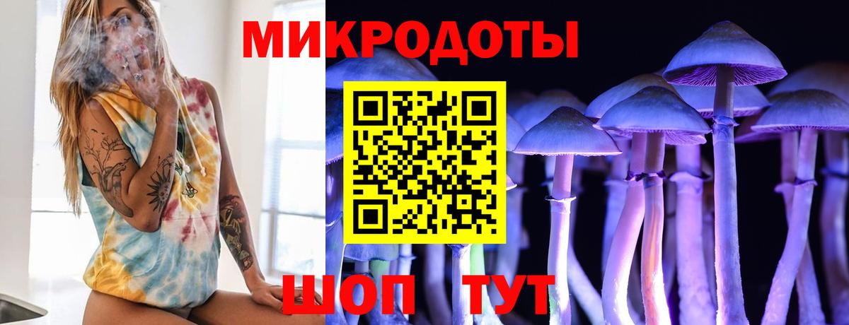 Галлюциногенные грибы Magic Shrooms Северск