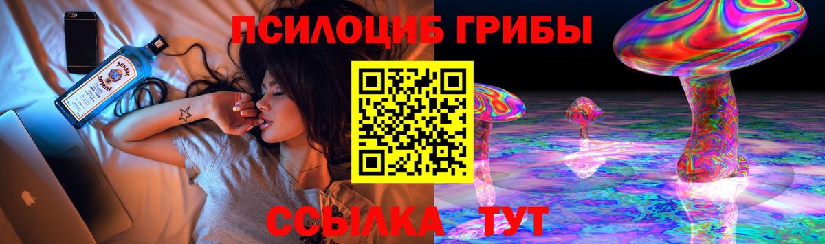 Северск  Псилоцибиновые грибы Psilocybe  Вход с VPN 